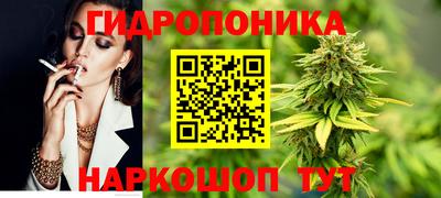 spice Кимры