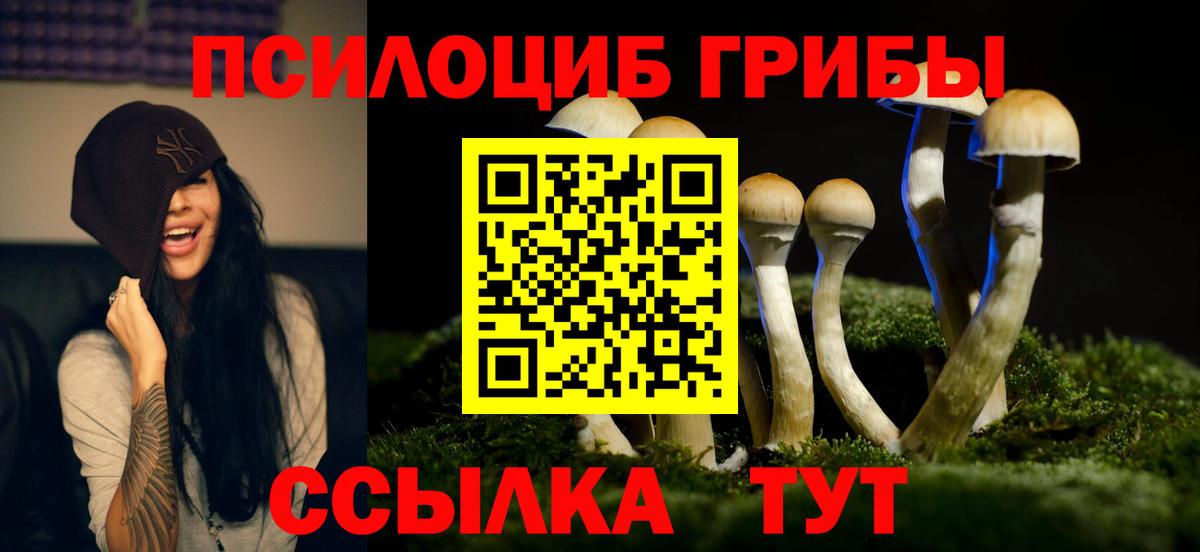 Псилоцибиновые грибы GOLDEN TEACHER  Вход с VPN  Янаул 